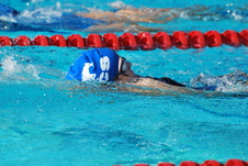 Enlarge photo 97