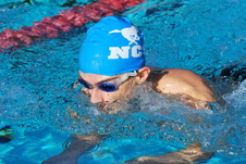 Enlarge photo 132