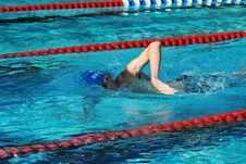 Enlarge photo 133