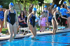 Enlarge photo 137