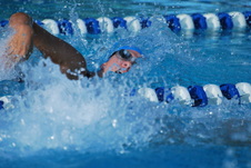 Enlarge photo 141
