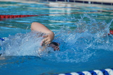 Enlarge photo 142
