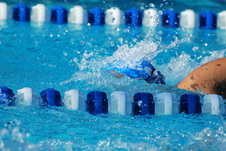 Enlarge photo 144