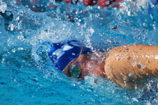 Enlarge photo 148