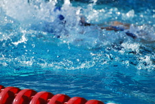 Enlarge photo 149