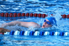 Enlarge photo 153