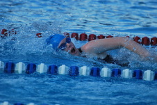 Enlarge photo 156