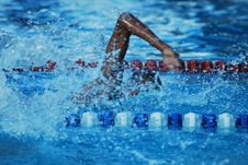 Enlarge photo 160