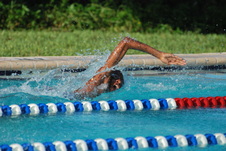 Enlarge photo 161