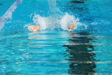 Enlarge photo 202
