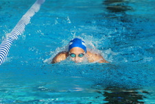Enlarge photo 203