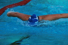Enlarge photo 205