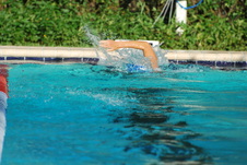 Enlarge photo 210