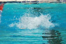Enlarge photo 212