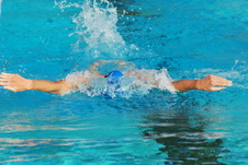 Enlarge photo 215