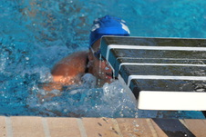 Enlarge photo 216