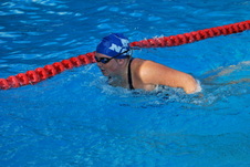 Enlarge photo 221