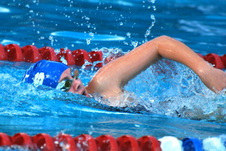 Enlarge photo 224