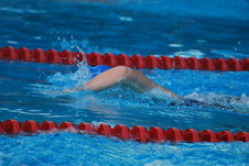 Enlarge photo 226