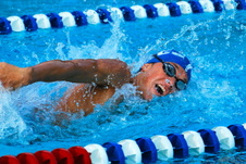 Enlarge photo 249