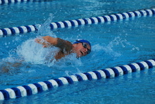 Enlarge photo 251