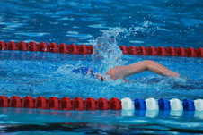 Enlarge photo 252