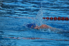 Enlarge photo 253