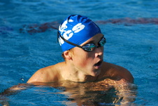 Enlarge photo 254
