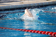 Enlarge photo 271