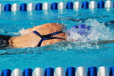 Enlarge photo 275