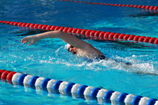 Enlarge photo 282
