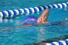 Enlarge photo 291