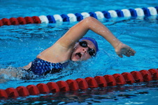 Enlarge photo 298