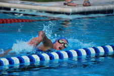 Enlarge photo 306
