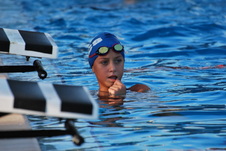 Enlarge photo 320