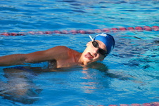 Enlarge photo 327