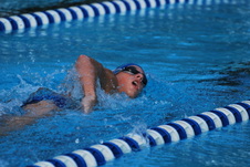 Enlarge photo 328