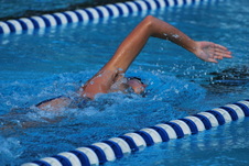 Enlarge photo 329