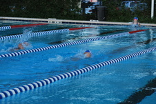 Enlarge photo 336
