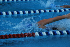 Enlarge photo 346