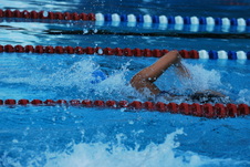 Enlarge photo 347