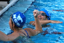 Enlarge photo 351