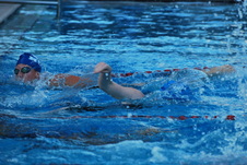 Enlarge photo 359