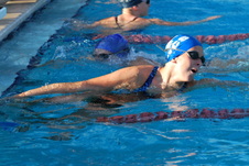 Enlarge photo 369