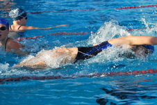 Enlarge photo 371