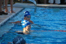 Enlarge photo 373