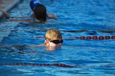Enlarge photo 393