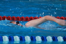 Enlarge photo 398