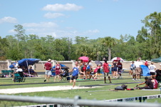 Enlarge photo 152