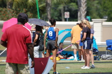 Enlarge photo 239